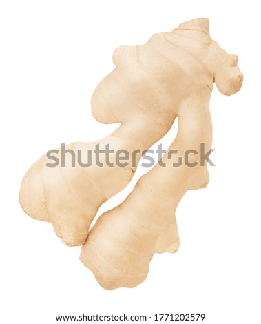 Fresh whole ginger isolated on a white background. Clip art image for package design.
