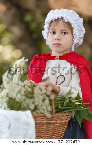 Portrait of a girl in a fairy tale costume of a red cap with a basket and flowers in the forest.