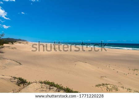Empty sandy beach on the east coast of South Africa in Sodwana Bay National Park in iSimangaliso Wetland Park, Maputaland, KwaZulu-Natal Province.