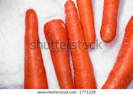 close up picture of carrots in snow