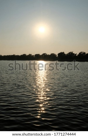 Sun light reflected from the water, the sun and a row of trees in the background