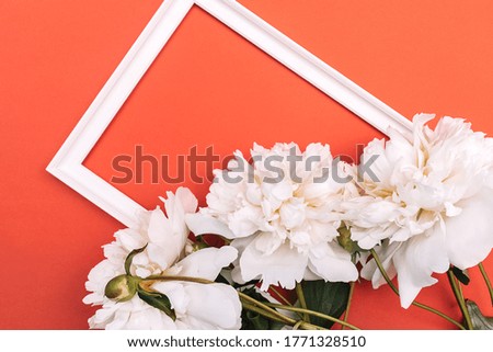 White picture frame decorated with white peony flower on red background.Copy space for text,top view,flat lay,selective focus