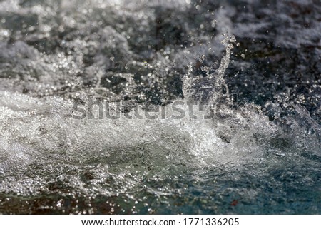 water splashes closeup, background, abstraction, texture