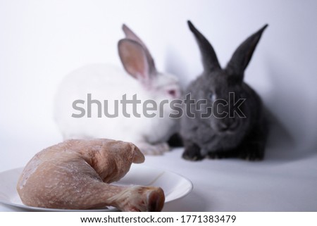 gray and white rabbits-bunnies scared near a raw piece of meat. copy space. Meat, culinary, vegetarian concept. Save animals. High quality photo