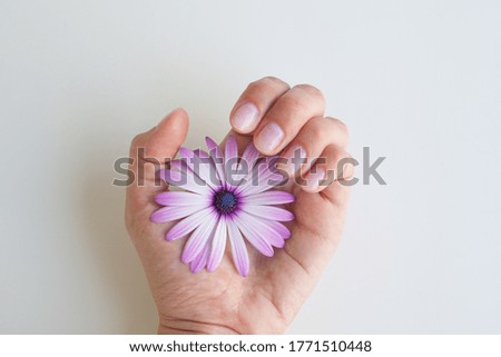 Flower in the palm of your hand on a white background. Concept photo for advertising manicure or hand cream, self-care products.