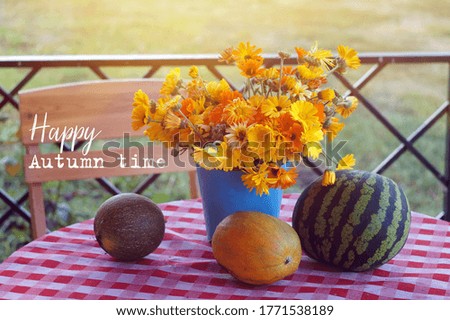 happy autumn time. a bouquet of bright autumn yellow and orange flowers of calendula, melon, watermelon on a table covered with a red-white tablecloth. fall season.                        