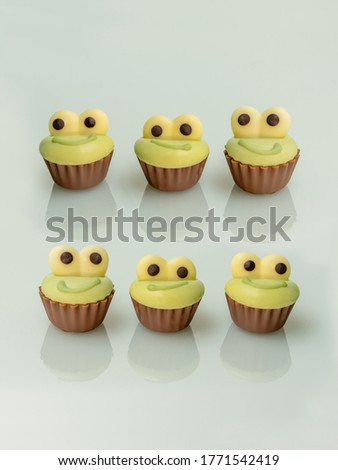 Group of six tasty Belgian chocolate bonbons on soft lime background