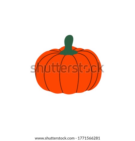 Pumpkin vector flat illustration. Pumpkin for Halloween and thanksgiving day design. Organic autumn vegetables