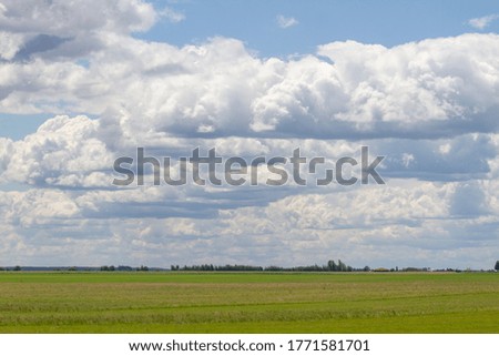 Beautiful natural landscape in Belarus. Fields and forests.