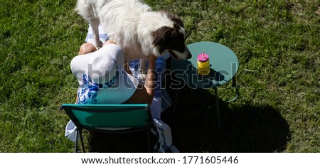 top view of woman and dog sunbathing 