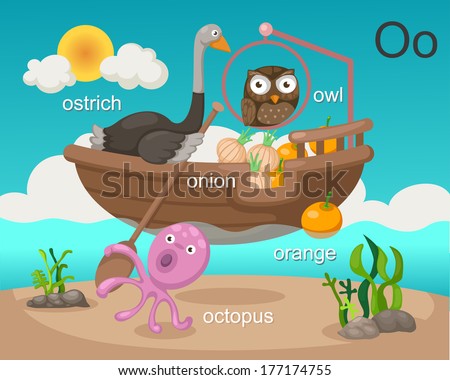 Alphabet.O letter.ostrich,onion,octopus,orange,owl