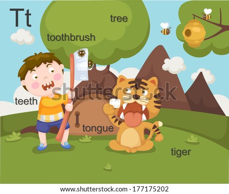 Alphabet.T letter.teeth,toothbrush,tree,tongue,tiger