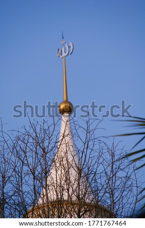 Tree branches in foreground of gold dome Islamic mosque with blue sky