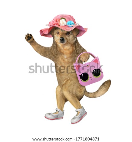 The beige dog in a straw hat is holding a pink handbag. White background. Isolated.