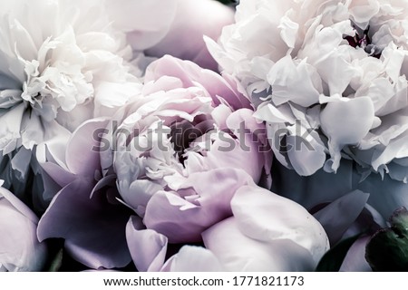 Pastel peony flowers as floral art background, botanical flatlay and luxury branding design Royalty-Free Stock Photo #1771821173