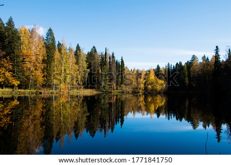 
In front of the picture is a lake surrounded by forest.