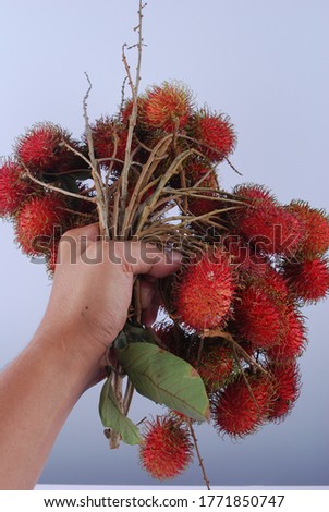 Hand hold delicious Rambutan isolated on white background