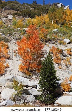 Bright orange, yellow and red trees adorn the magnificent mountain landscape