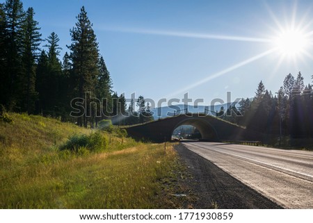The US Highway 93 reconstruction projects improve safety for the traveling public by reducing wildlife-vehicle collisions and allowing wildlife to move safely across the landscape and the roadway.  Royalty-Free Stock Photo #1771930859