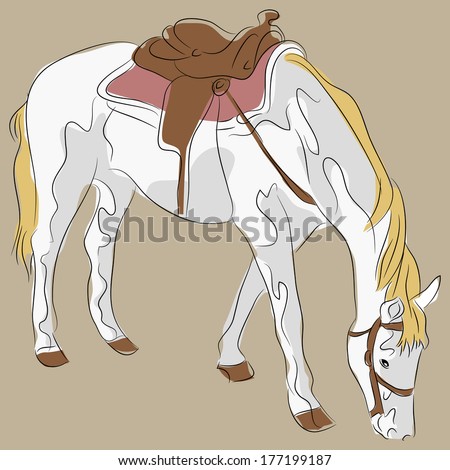 An image of a saddled horse.