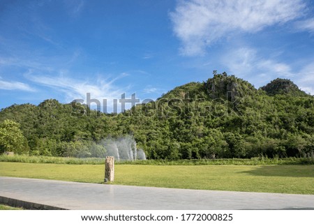 The image of a green nature, outdoor atmosphere, and flower grass