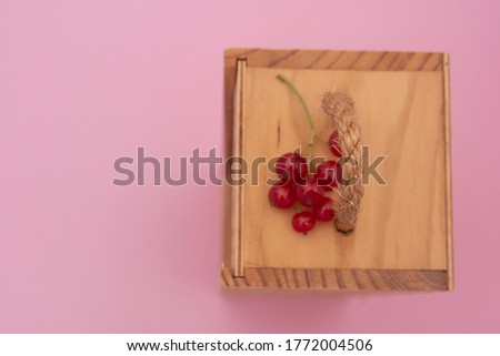 branch of red currant on Wooden gift box or wooden box for wine on a pink background. copy space