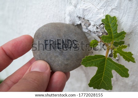 A person holding a pebble with the inscription FRIENDS near the oak leaves on the wall