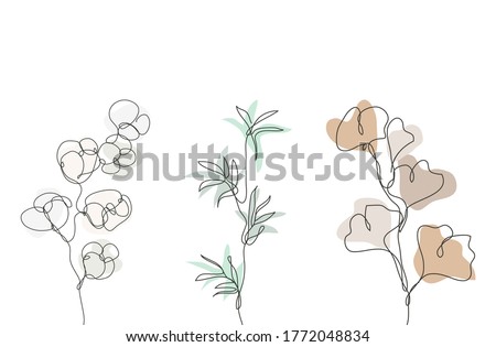Decorative hand drawn gingko, cotton, bamboo, design elements. Can be used for cards, invitations, banners, posters, print design. Continuous line art style