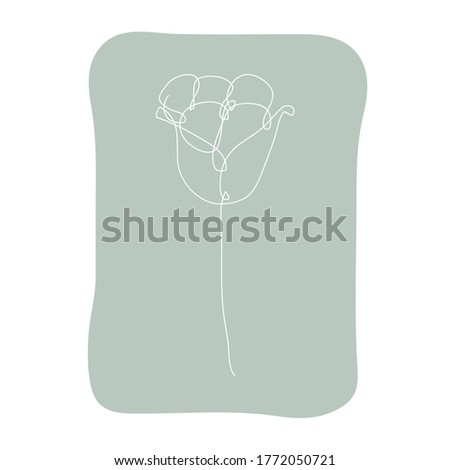 Decorative hand drawn tulip flower, design element. Can be used for cards, invitations, banners, posters, print design. Continuous line art style