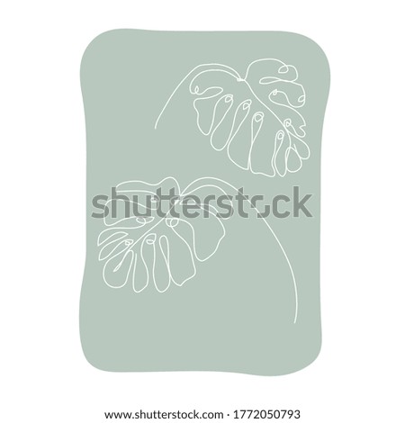 Decorative hand drawn monstera leaves, design element. Can be used for cards, invitations, banners, posters, print design. Continuous line art style