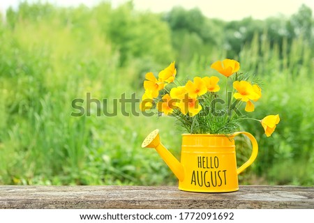 Bright flowers escholzia in yellow watering can on table, green natural background. Eschscholzia californica flowers in garden. Hello August. summer season, august month concept Royalty-Free Stock Photo #1772091692