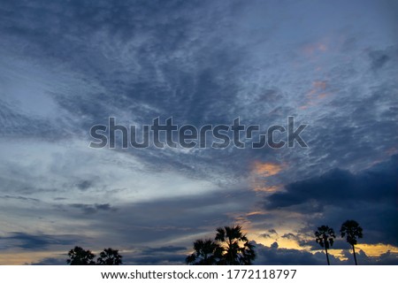 Sunset with clouds and tree, light rays , sun rays