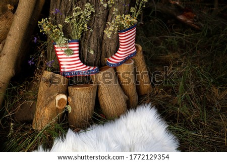 Horizontal shot of garden decoration  - rain red and white striped boots on wooden logs with wild flowers and fluffy carpet, photosession, party decor 