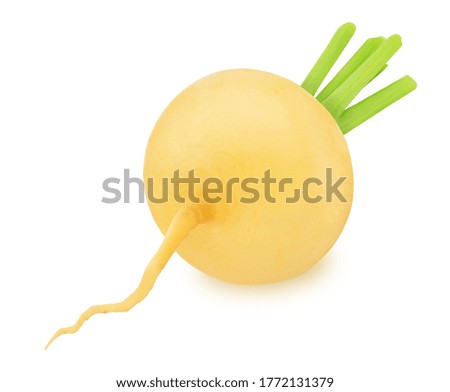 Fresh whole yellow turnip isolated on a white background. Clip art image for package design.