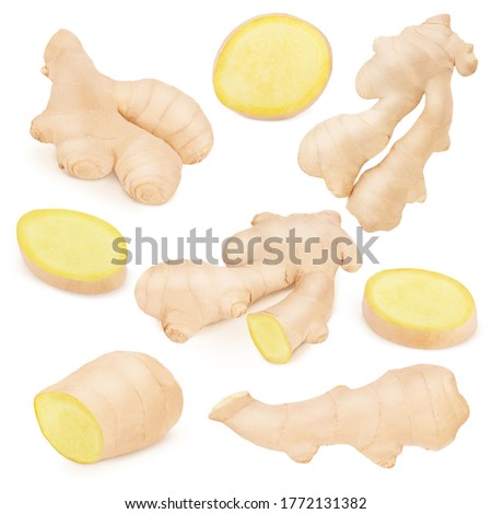 Set of fresh whole and cutted ginger isolated on a white background. Clip art image for package design.