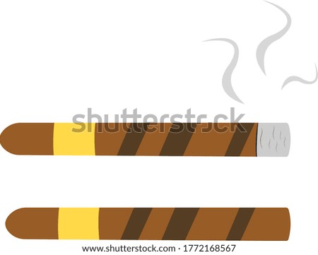 smoldering cigar and gray steam next to a whole cigar object on a white background smoking concept