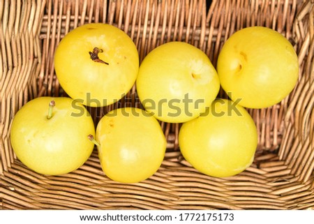 Several organic ripe, yellow plums in a basket of twigs, close-up.
