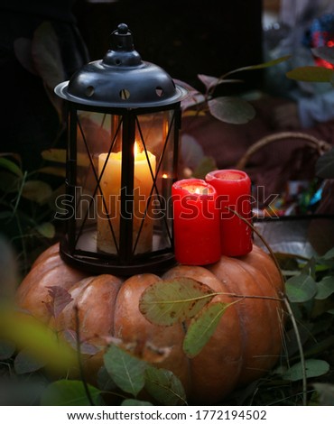 
halloween autumn composition. autumn Park. pumpkin. candles.