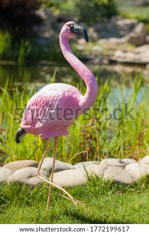 Decorative pink flamingo with a black beak stands by the pond against the background of a path of stones and green reeds