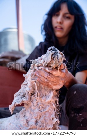 girl soaps dog hair with shampoo