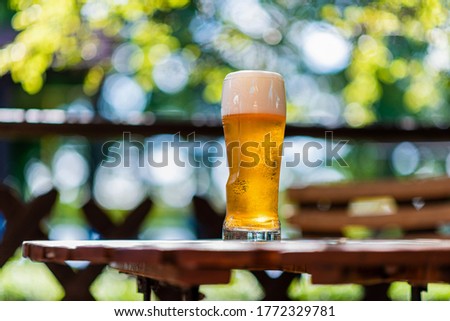 Golden beer with a large tasty foam on a wooden table against the backdrop of trees and the breaking sun on a holiday day Royalty-Free Stock Photo #1772329781