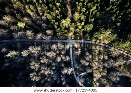 Aerial drone view of trees in autumn. Street crossing the forest with long evening sun shadows. Beautiful top view. Green and Brown tones.