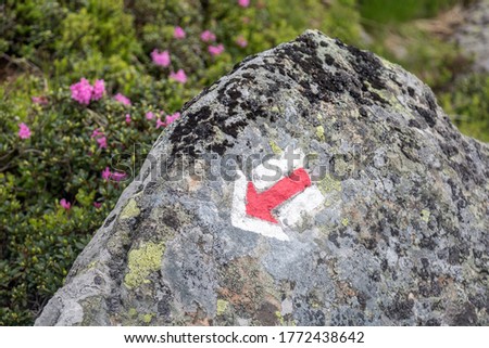 Red arrow marking a tourist hiker route on a rock. Travel outdoor concept