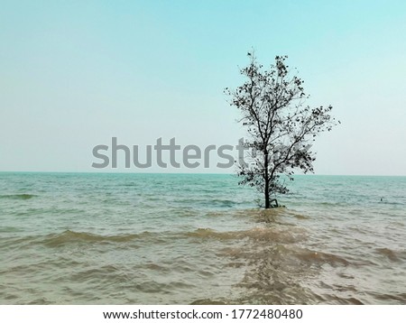 A lonely small tree in the sea against blue sky with copy space.