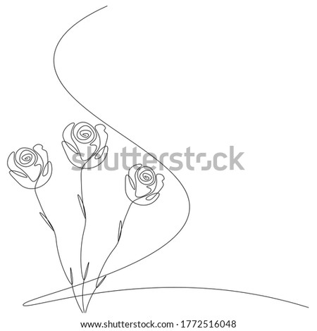 Rose's flower background line drawing vector illustration 