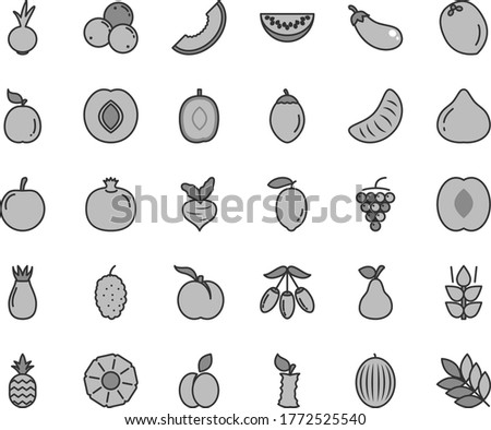 Thin line gray tint vector icon set - beet vector, a pineapple, apple, pear, mint, ripe peach, pomegranate, large grape, plum, rose hip, fig, blueberries, mulberry, melon, slice of, goji berry, half