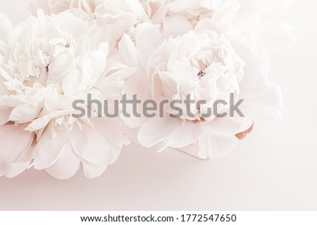 Pastel peony flowers in bloom as floral art background, wedding decor and luxury branding design Royalty-Free Stock Photo #1772547650