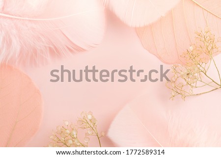 Elegant  background with gentle decorations angelic feathers and dry flowers Royalty-Free Stock Photo #1772589314