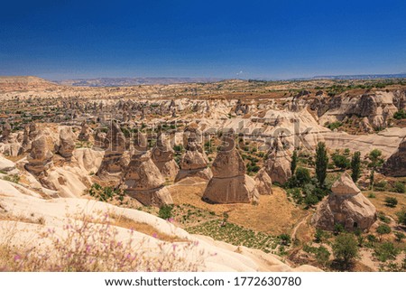 This is the Summer landscape of Cappadocia in Turkey.
Blue sky and dynamic huge stones make magnificent scenery.