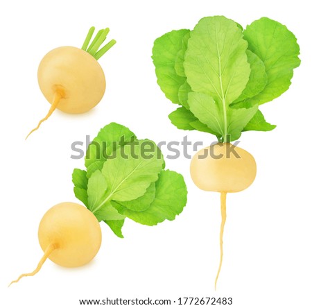 Set of fresh whole and cutted yellow turnip isolated on a white background. Clip art image for package design.